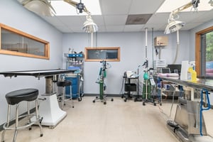 32749335