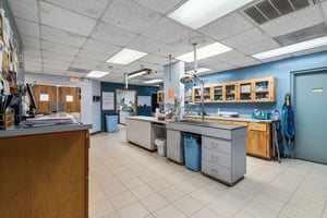 32749327