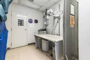 32749338