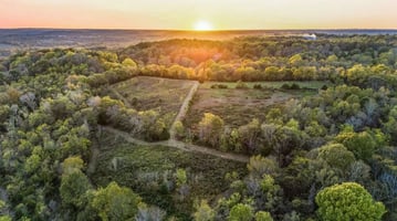 32749391