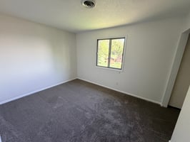32752298