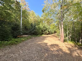 32756480