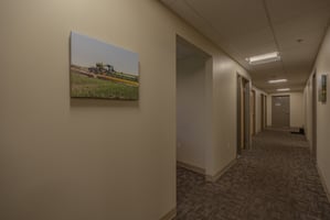 32788229
