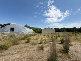 32898202