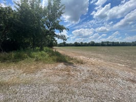32770561