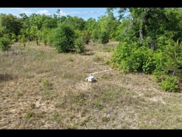 32773765