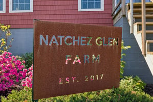 32774708