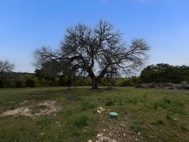 32775241