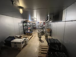32776932