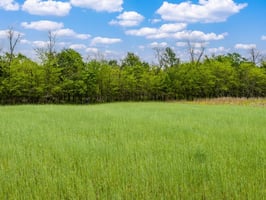 32777022