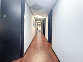 32781517