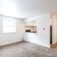 32784631