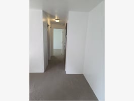 32812304