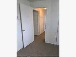 32838133