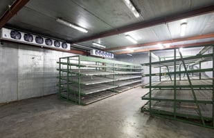 32786004