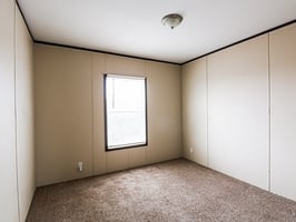 32787781