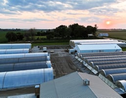 32794798