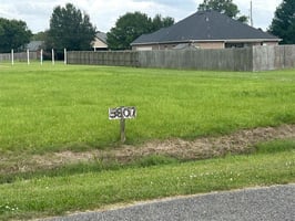 32798194