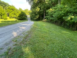 32800273