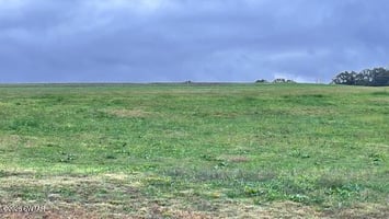 32802579