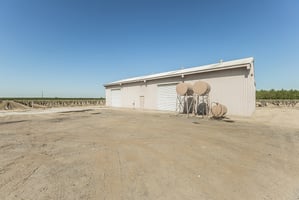 32806307