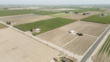 32806470