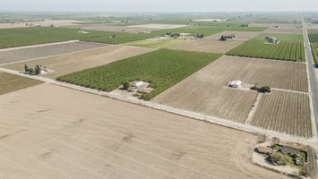 32806469