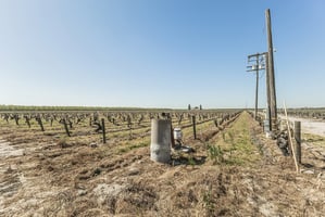 32806458