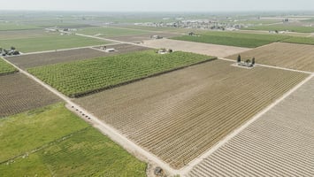 32806463