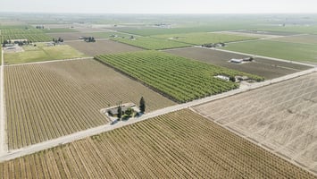32806468