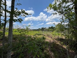 32806333