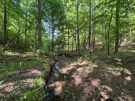 32806399