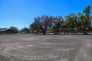 32806531