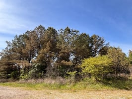 32806414