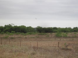 32809026