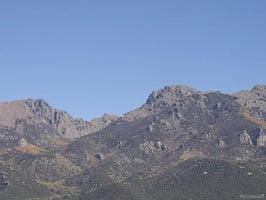32814644