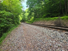 32815011