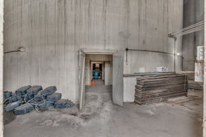 32923341