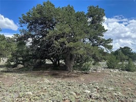 32815751