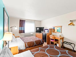 32955589