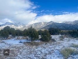 32816401