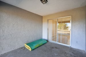 32837277