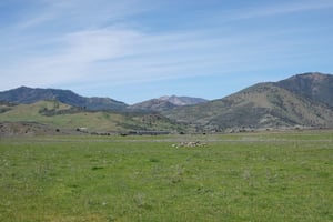 34136414