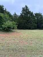 32829593