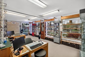 32831148
