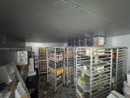 32833311