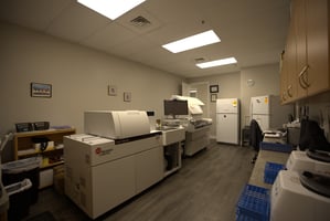 32834597