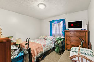 32837766