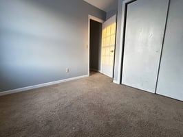34447441