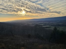 32843623